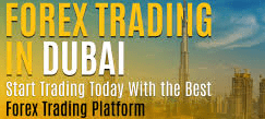 Best Forex Traders In Dubai